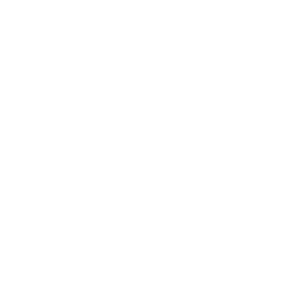 Logo Instagram bluxus