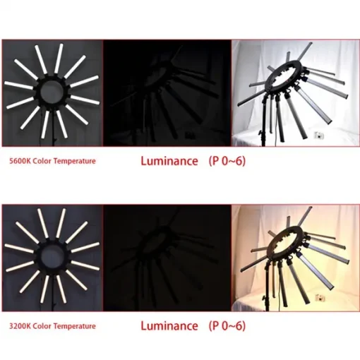 Estudio De Fotografia Profesional 12 led 3