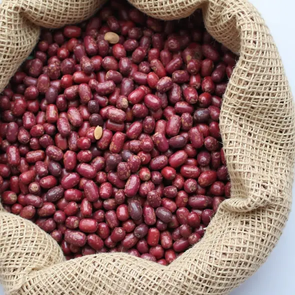 Descubre el Mejor Precio del Frijol Cargamanto Rojo en Colombia