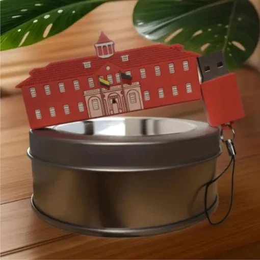 USB Personalizadas Bogotá Gimnasio Moderno