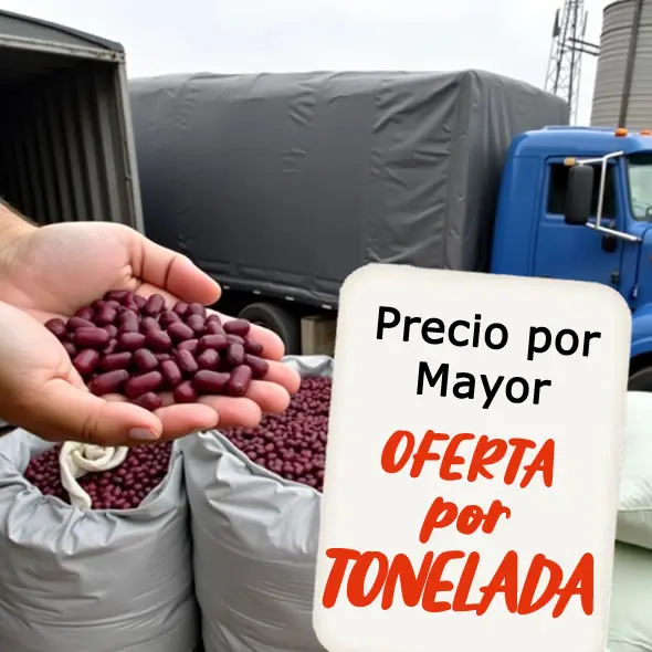 Precio de Frijol por Tonelada en Colombia