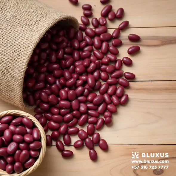 Proveedores de Frijol en Colombia