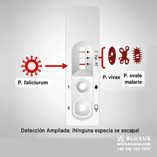 Esquema explicativo de la prueba Bioline Malaria: La línea Pf detecta Falciparum, y la línea Pan detecta simultáneamente Vivax, Ovale y Malariae.